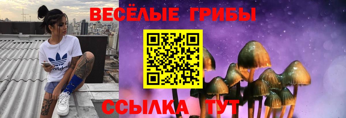 Фрязино  Галлюциногенные грибы мицелий  Галлюциногенные грибы мицелий  Вход с VPN 